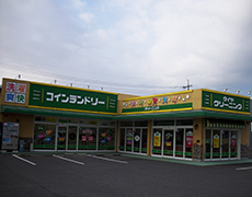 036